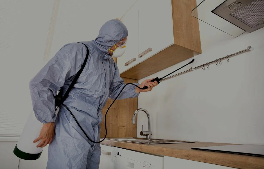 Lafayette pest managment